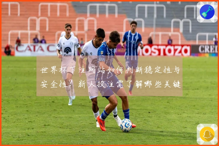 世界杯下注网站如何判断稳定性与安全性？新人投注需了解哪些关键要素