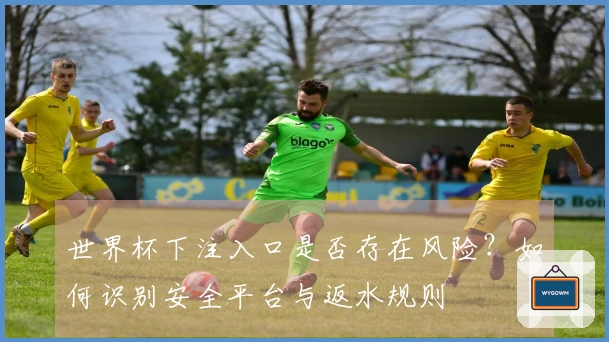 世界杯下注入口是否存在风险？如何识别安全平台与返水规则
