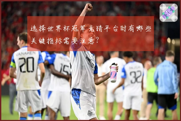 选择世界杯冠军竞猜平台时有哪些关键指标需要注意？