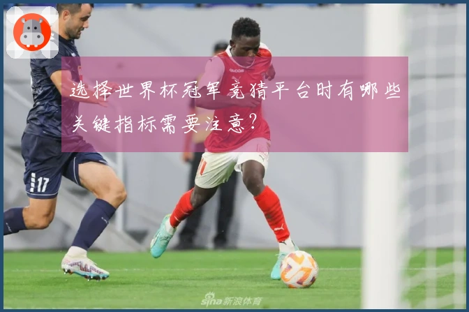 选择世界杯冠军竞猜平台时有哪些关键指标需要注意？